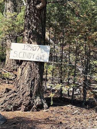 1.6 Acres of Land for Sale in Pine Grove, Colorado