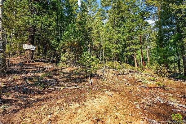 1.6 Acres of Residential Land for Sale in Pine Grove, Colorado