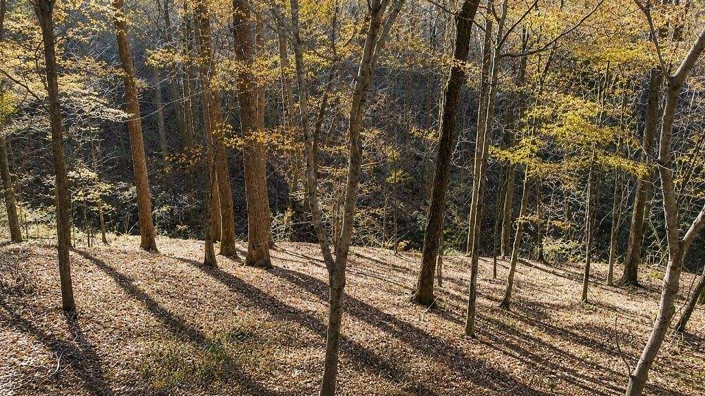 0.71 Acres of Residential Land for Auction in Smithville, Tennessee