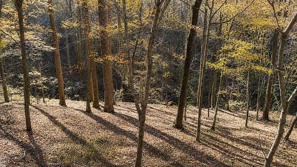 0.71 Acres of Residential Land for Auction in Smithville, Tennessee