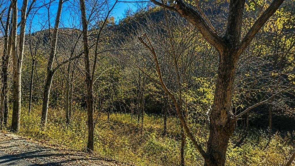 0.74 Acres of Residential Land for Auction in Smithville, Tennessee