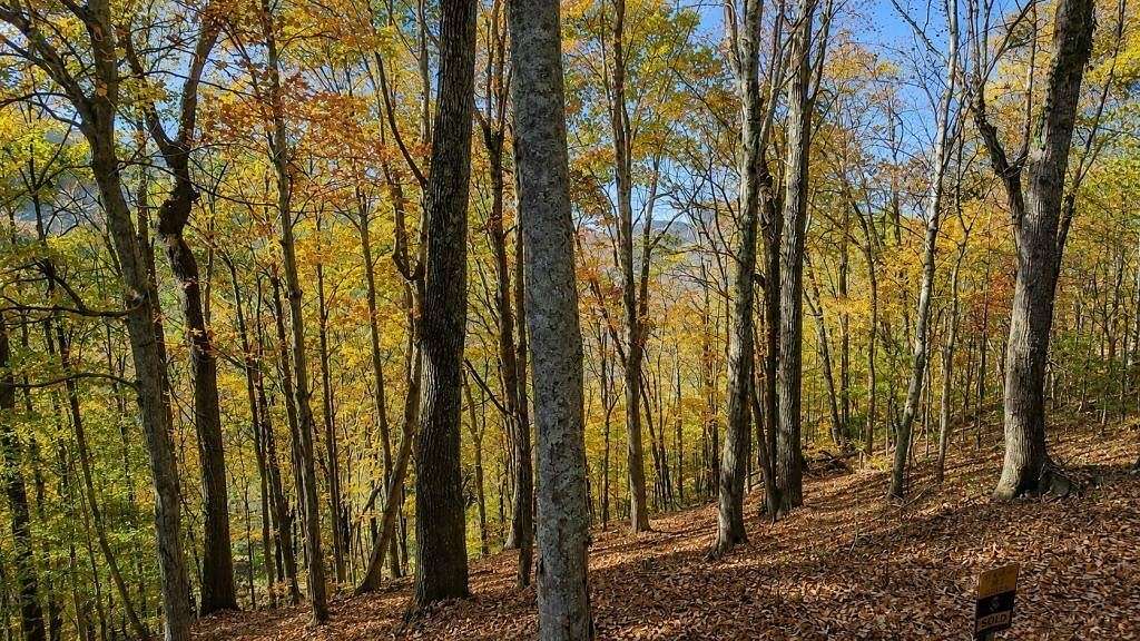 0.44 Acres of Residential Land for Auction in Smithville, Tennessee