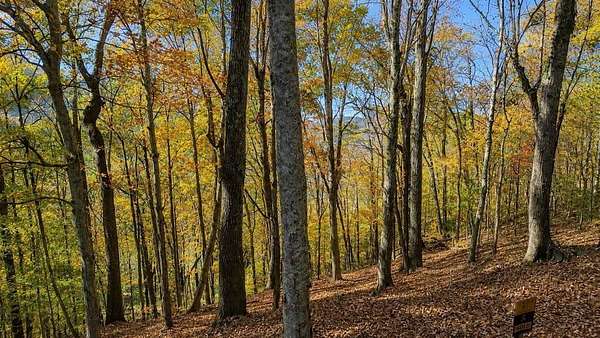 0.44 Acres of Residential Land for Auction in Smithville, Tennessee