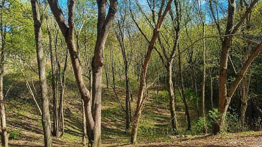 0.91 Acres of Residential Land for Auction in Smithville, Tennessee