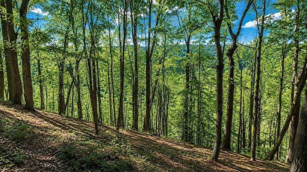 0.51 Acres of Residential Land for Auction in Smithville, Tennessee