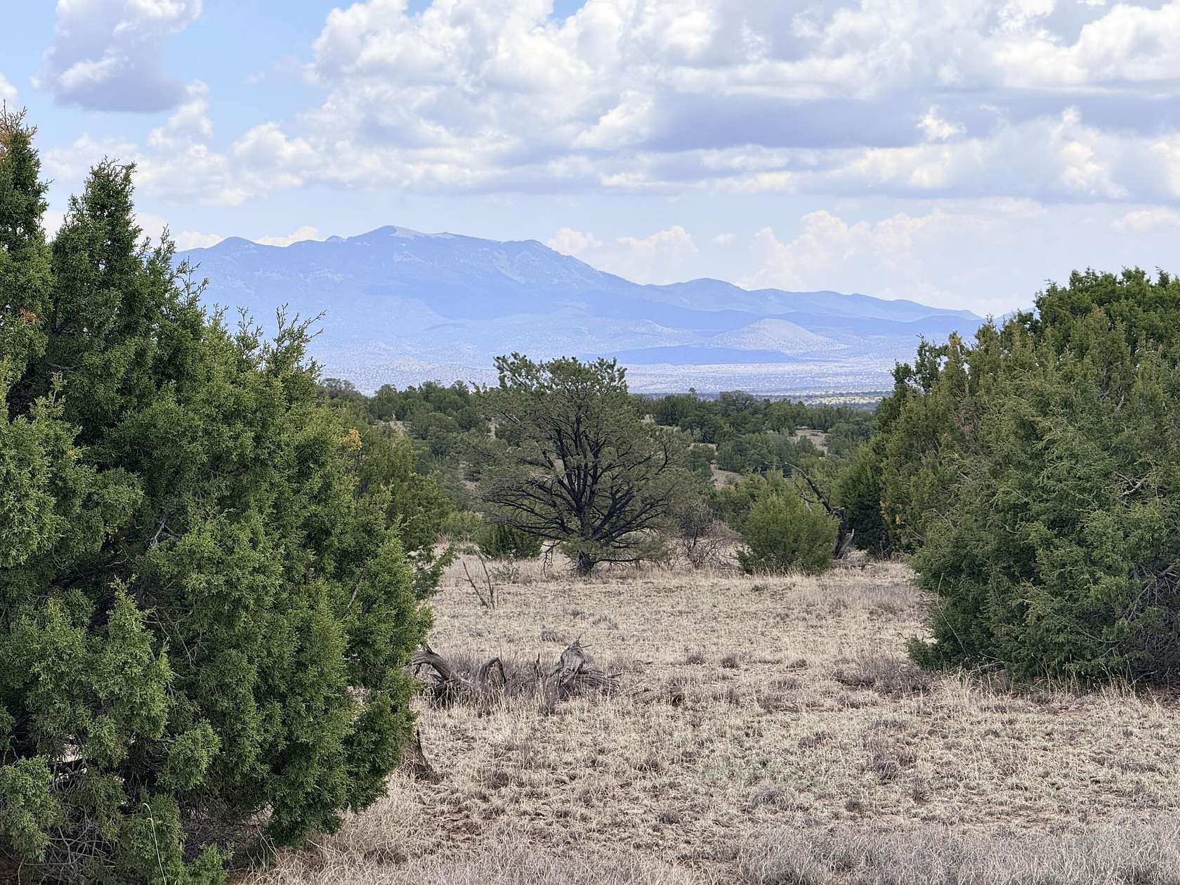 40 Acres of Recreational & Residential Land for Sale in Magdalena, New Mexico