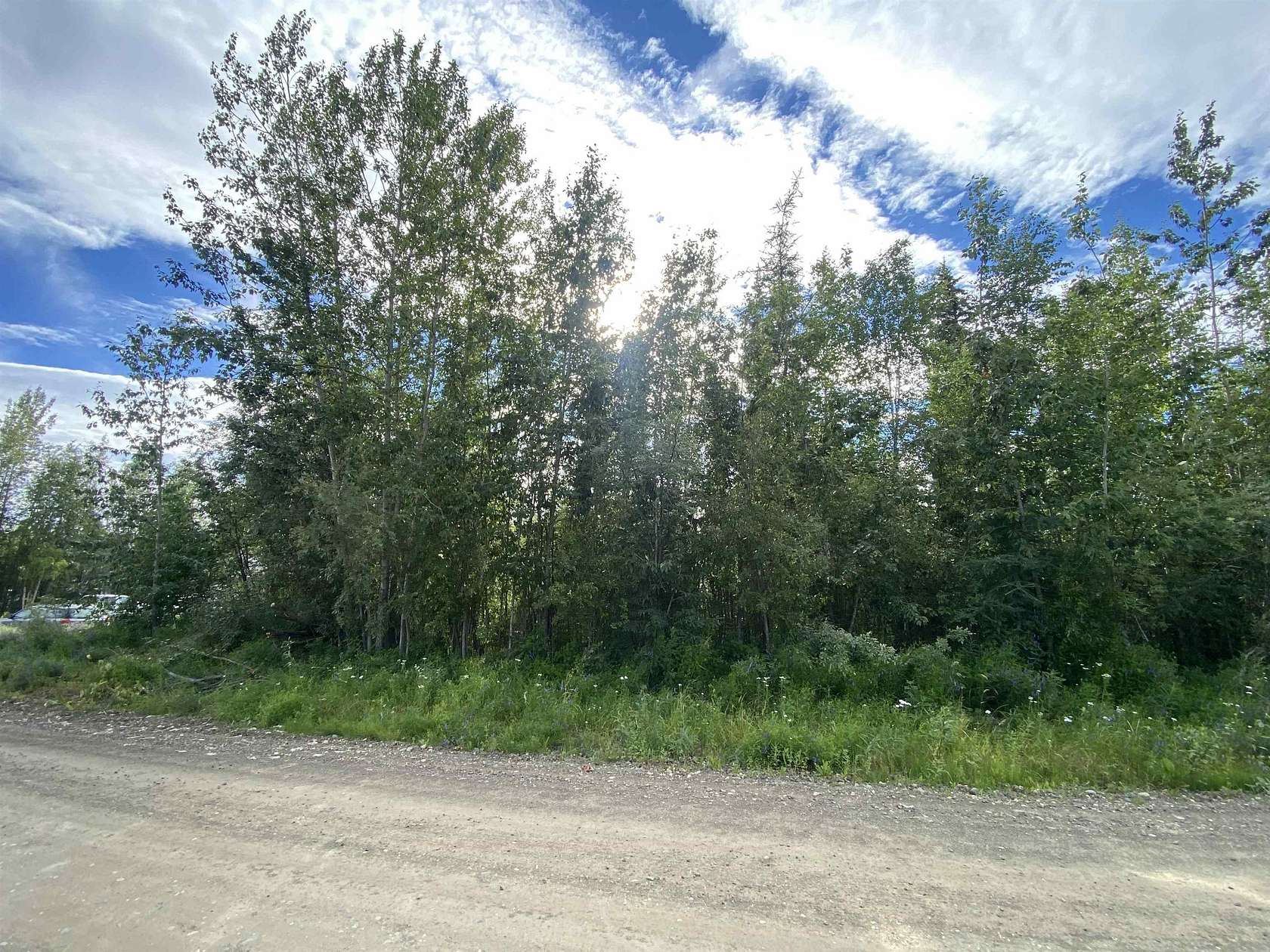1 Acre of Land for Sale in North Pole, Alaska