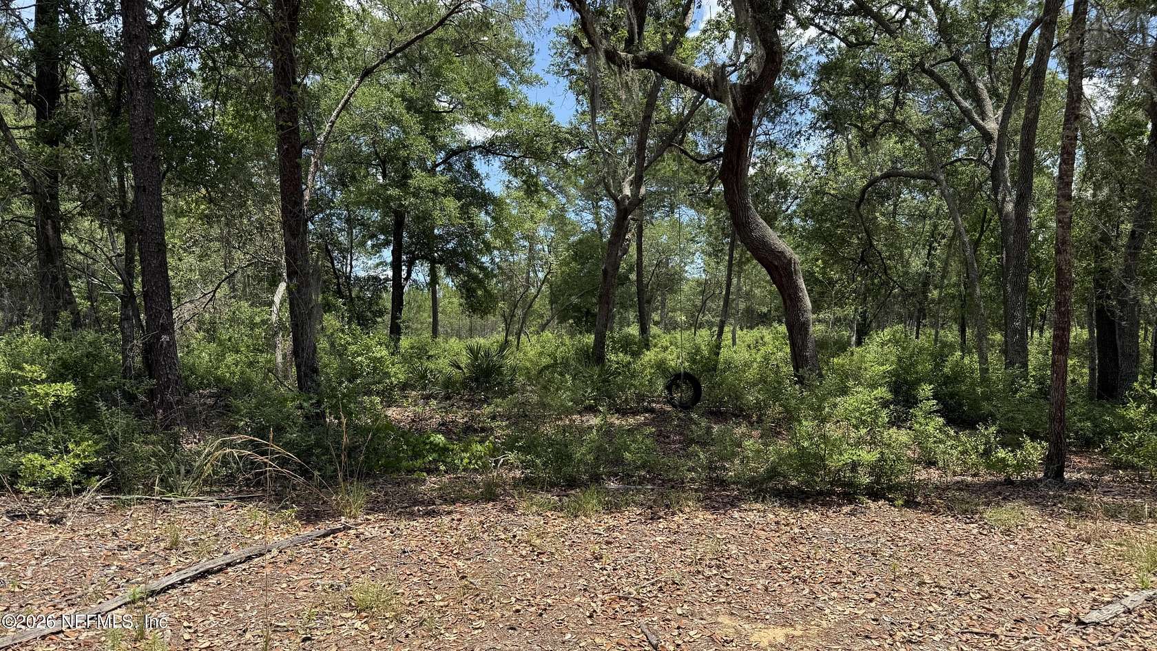 30 Acres of Land for Sale in Florahome, Florida