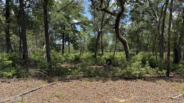 30 Acres of Land for Sale in Florahome, Florida