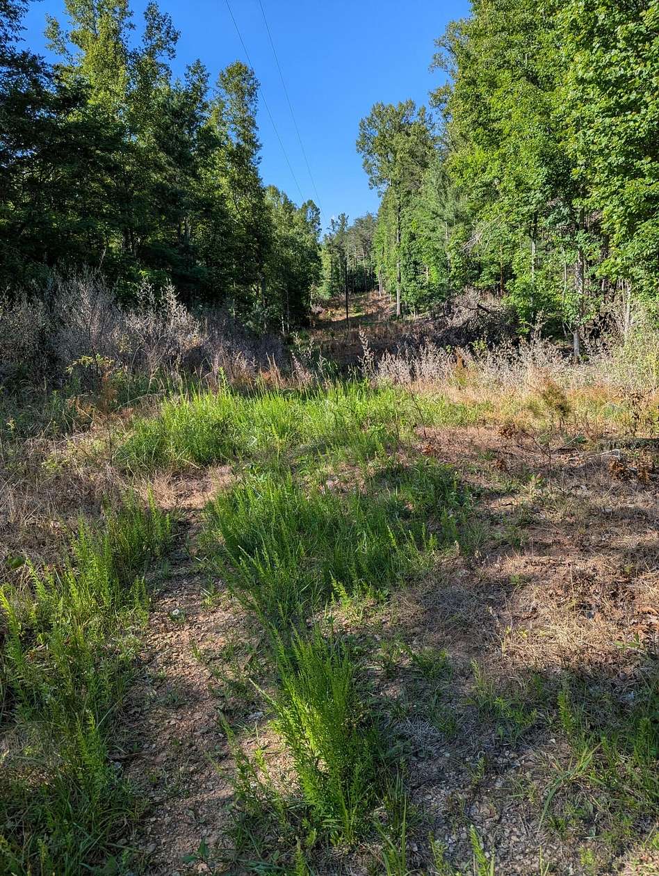 82.6 Acres of Recreational & Residential Land for Sale in Rocky Mount, Virginia