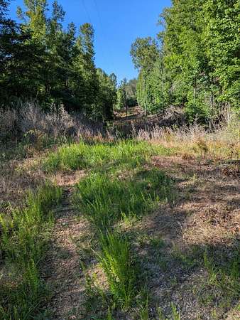82.6 Acres of Recreational & Residential Land for Sale in Rocky Mount, Virginia