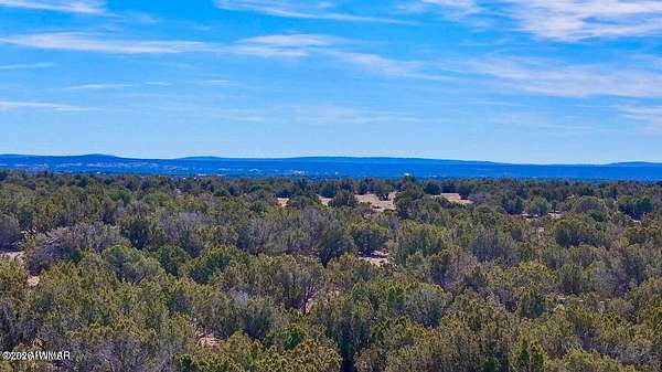20 Acres of Recreational & Residential Land for Sale in Show Low, Arizona