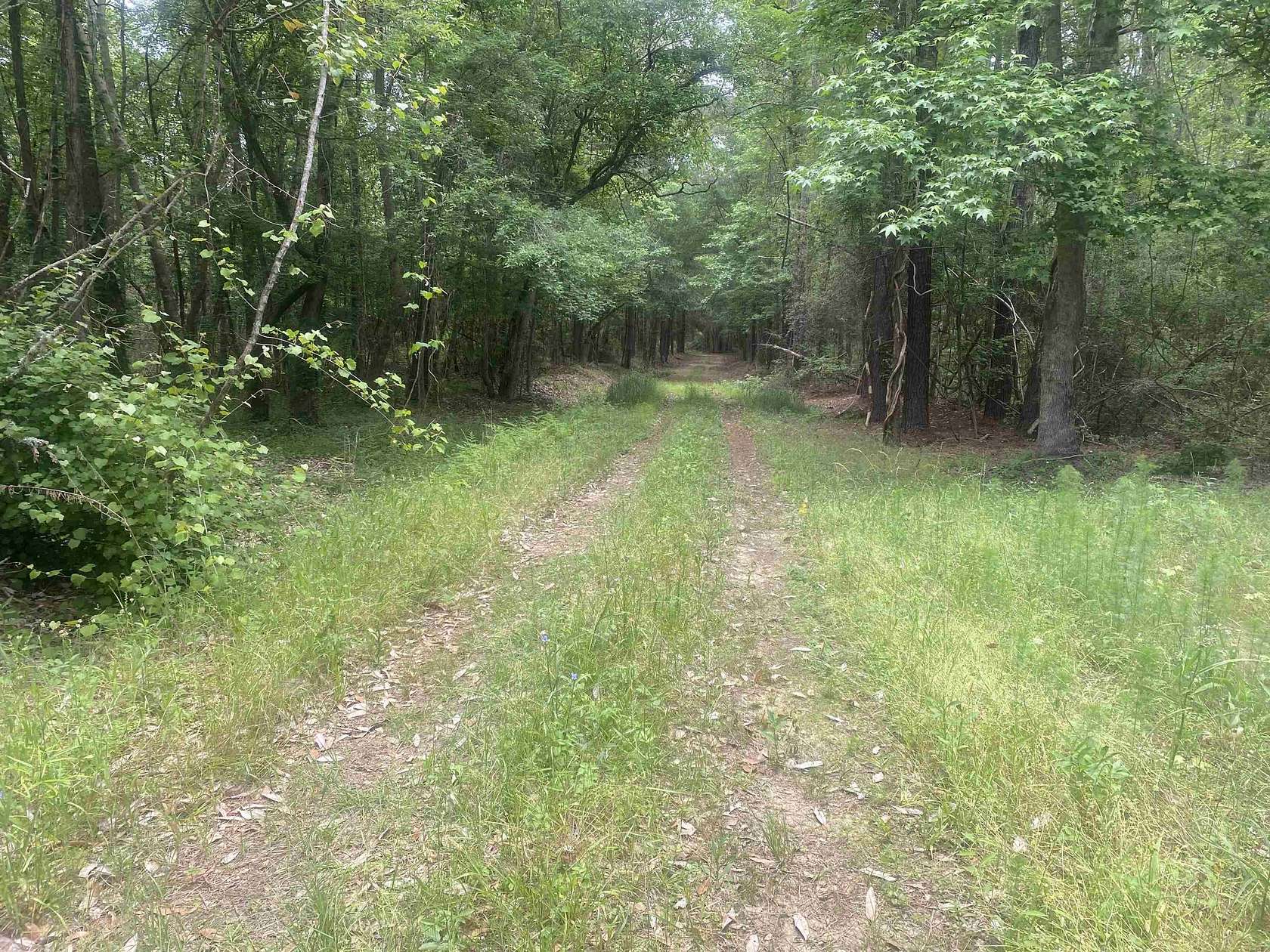 76 Acres of Recreational & Residential Land for Sale in Andalusia, Alabama