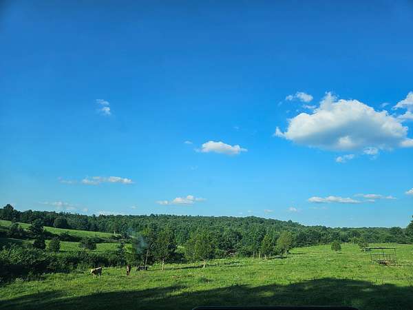 38.3 Acres of Agricultural Land with Home for Sale in Birch Tree, Missouri