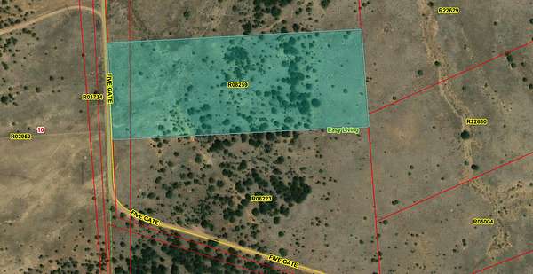 10 Acres of Recreational & Residential Land for Sale in Ramah, New Mexico
