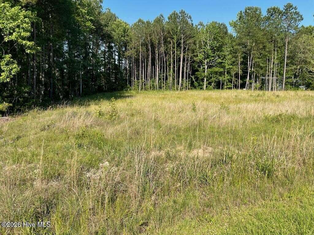 1 Acre of Residential Land for Sale in Rocky Point, North Carolina