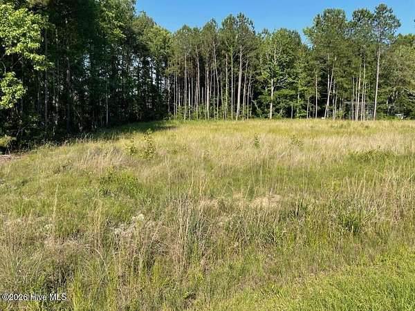 1 Acre of Residential Land for Sale in Rocky Point, North Carolina