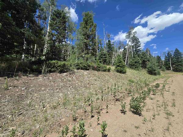 0.84 Acres of Residential Land for Sale in Angel Fire, New Mexico