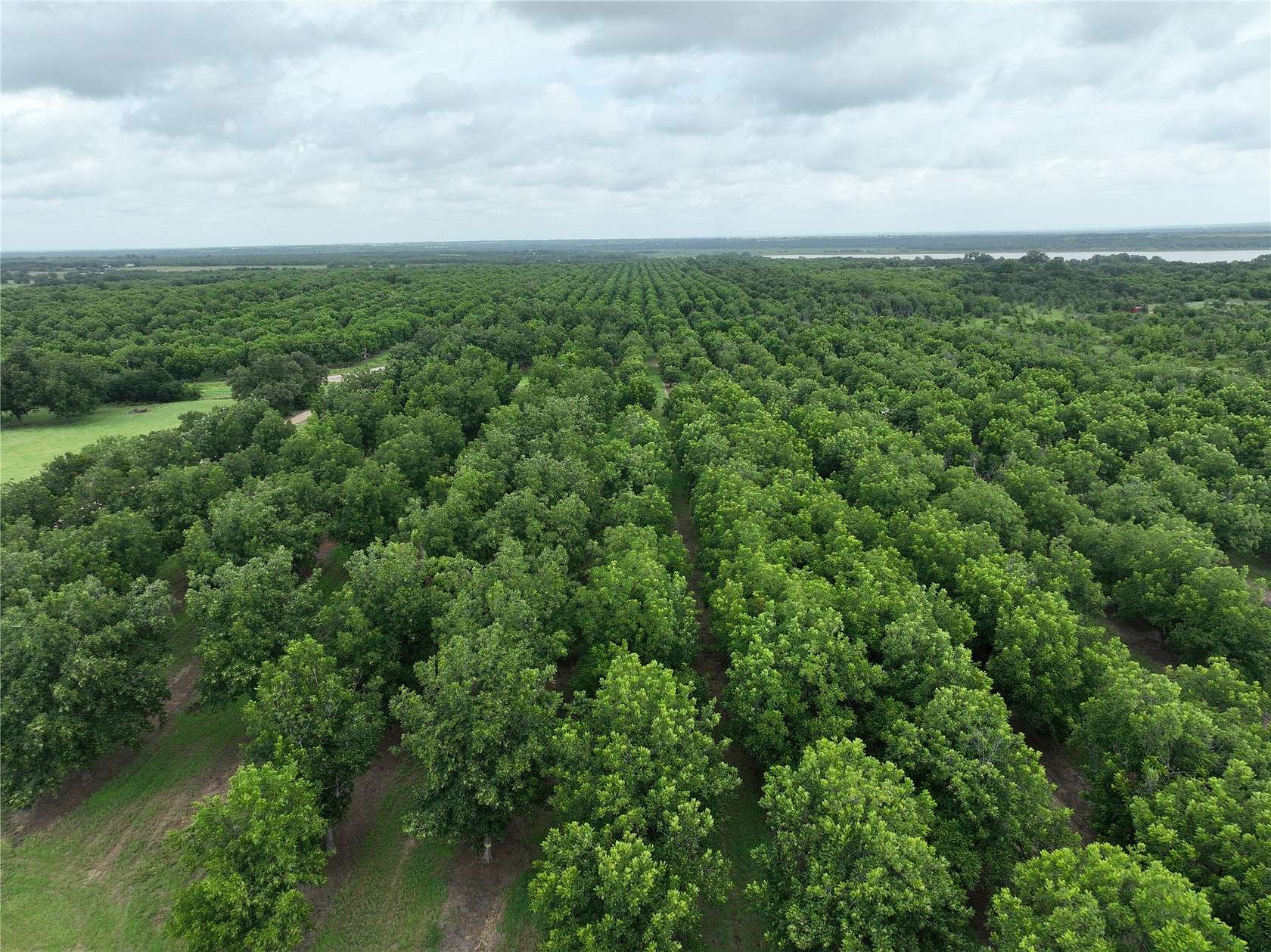 73.8 Acres of Land for Sale in Comanche, Texas
