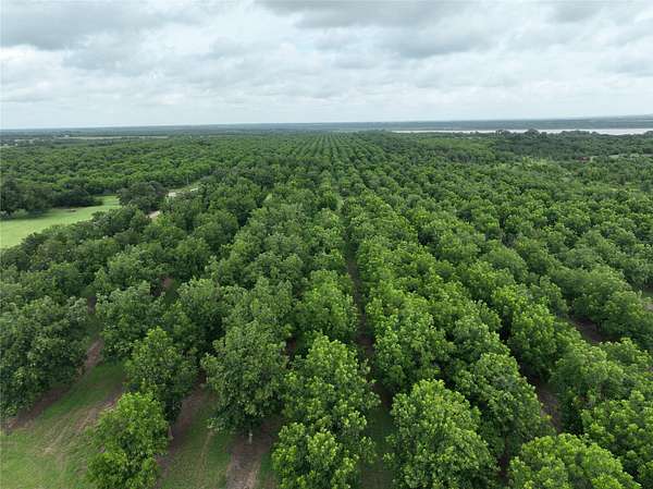 73.8 Acres of Land for Sale in Comanche, Texas