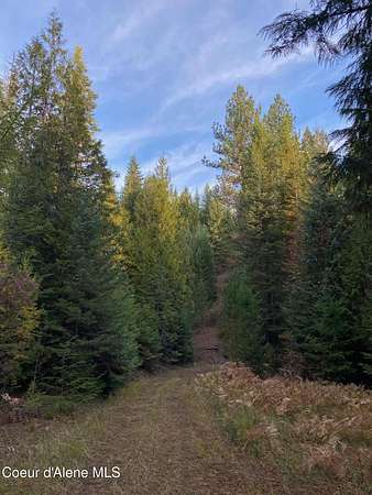 20.2 Acres of Recreational & Residential Land for Sale in St. Maries, Idaho