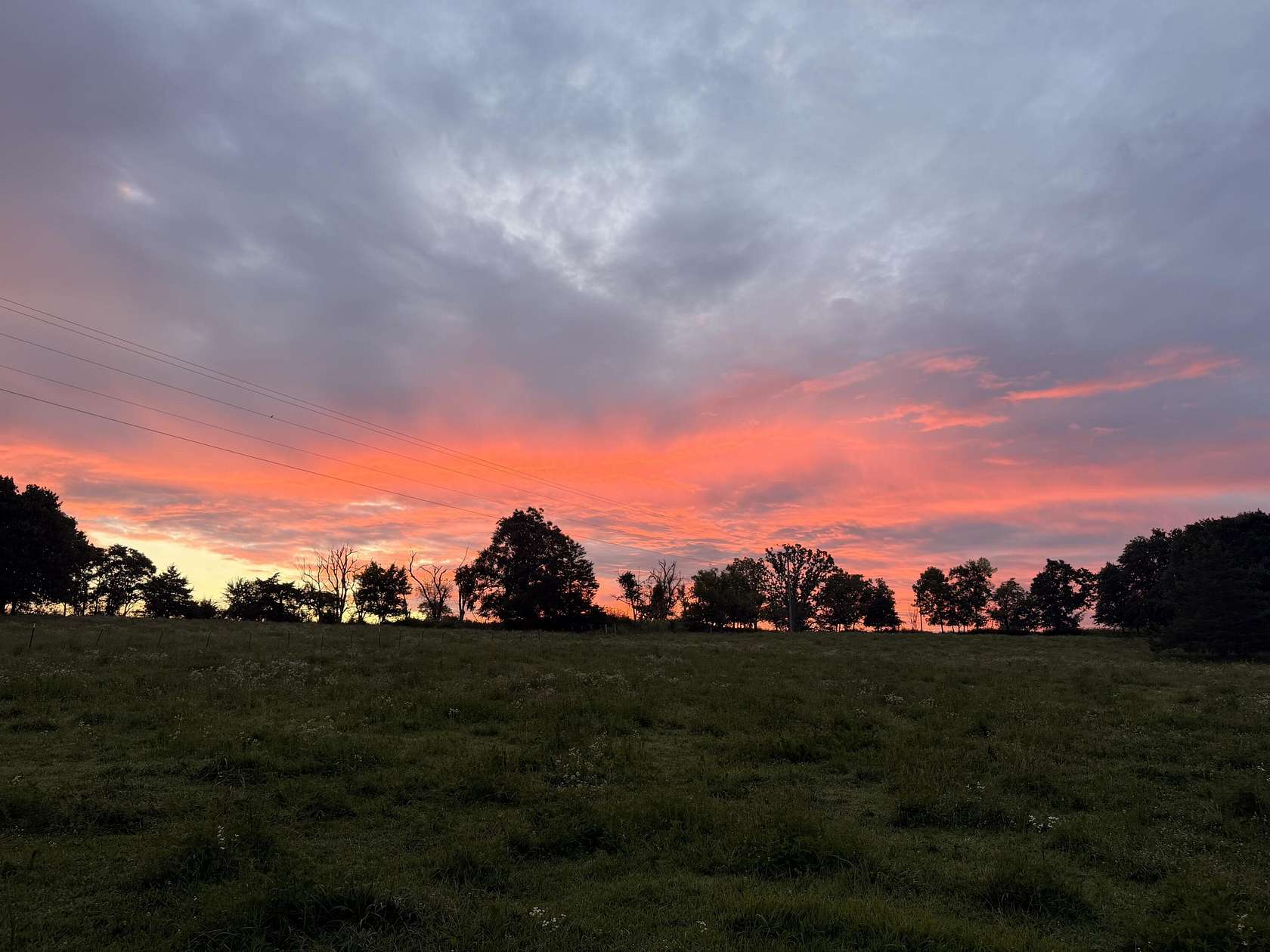 40 Acres of Land for Sale in Macomb, Missouri