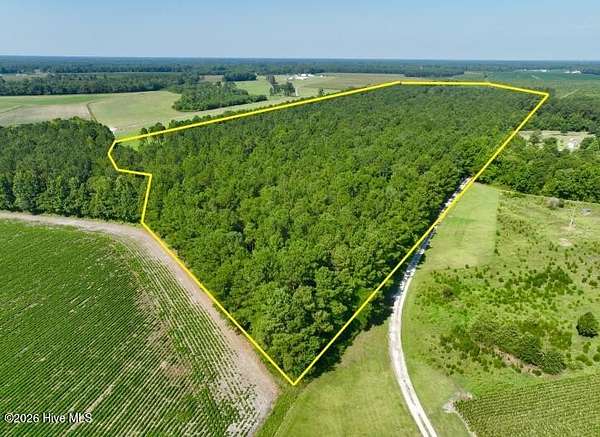 32.7 Acres of Recreational & Residential Land for Sale in Beulaville, North Carolina
