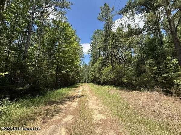 240 Acres of Recreational Land for Sale in Moss Point, Mississippi