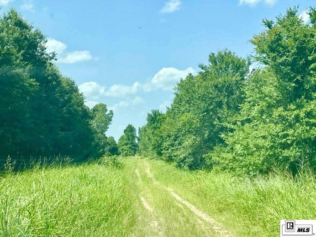 280 Acres of Recreational Land for Sale in Pioneer, Louisiana