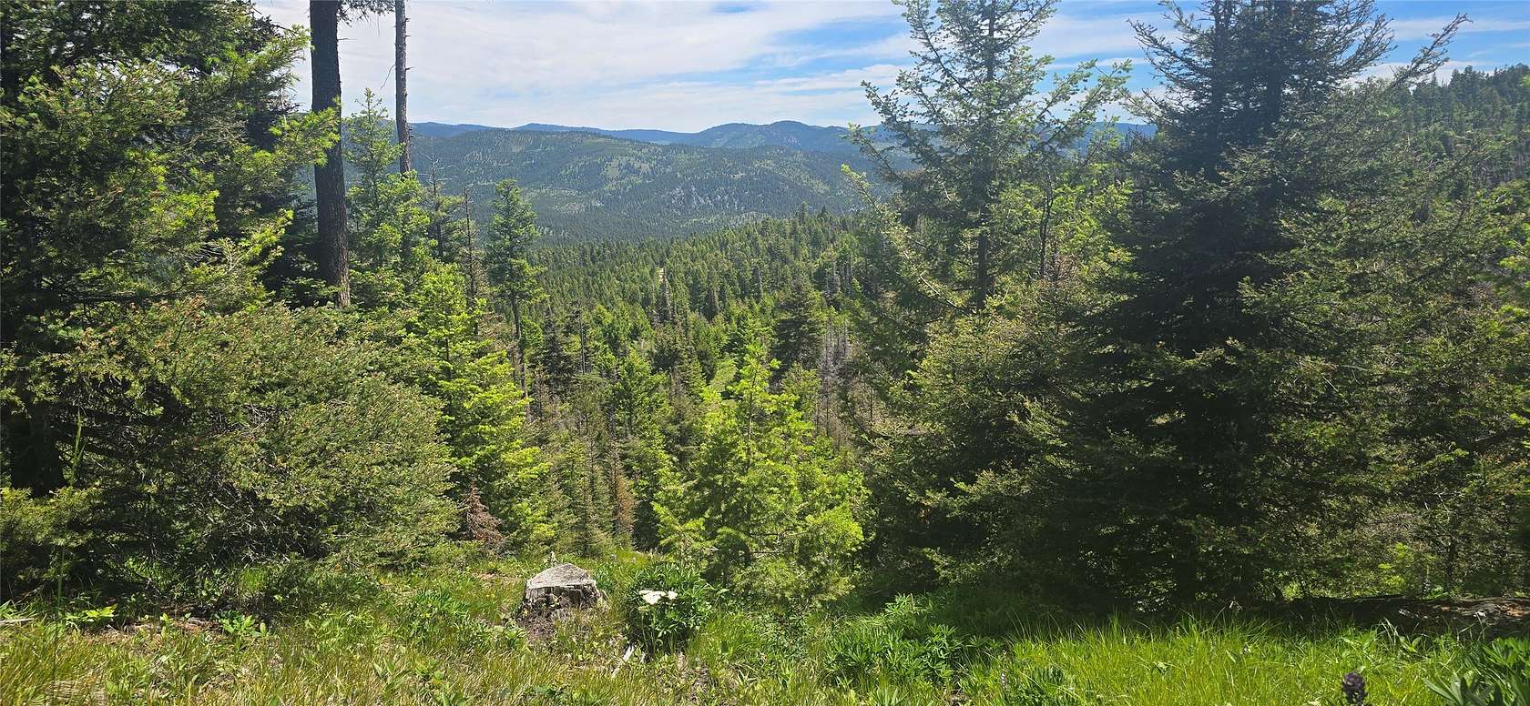 160 Acres of Land for Sale in Drummond, Montana