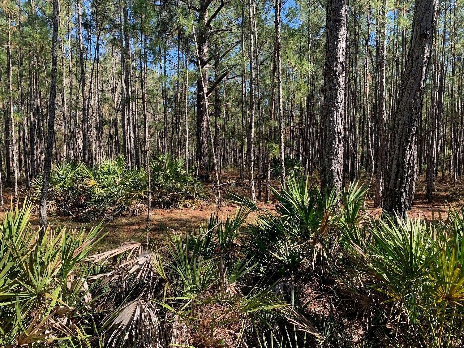1.1 Acres of Land for Sale in Polk City, Florida