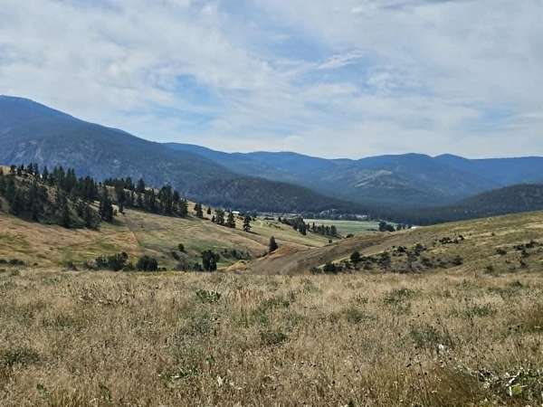 20 Acres of Land for Sale in Plains, Montana