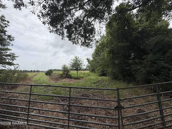 25 Acres of Land for Sale in Opelousas, Louisiana