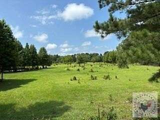 30 Acres of Recreational Land with Home for Sale in Simms, Texas