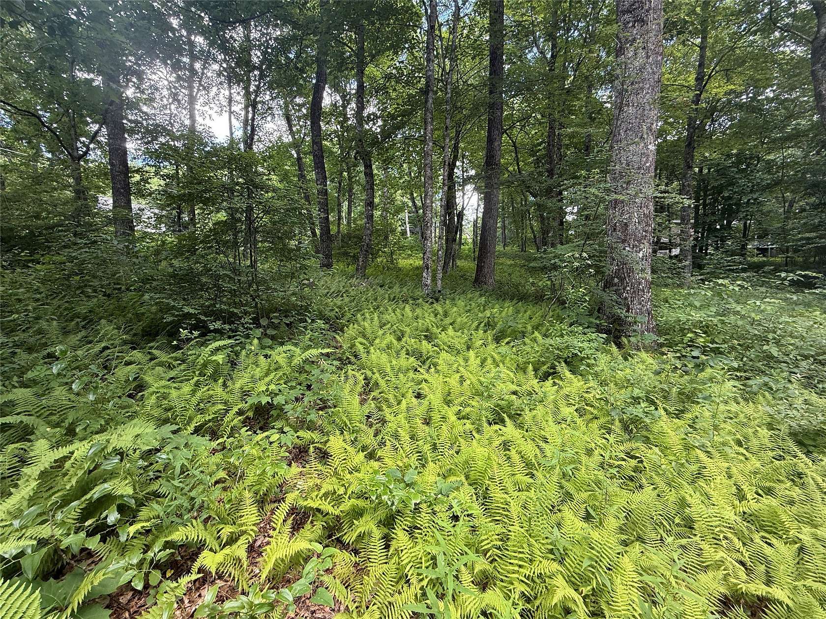 0.6 Acres of Residential Land for Sale in Highlands, North Carolina