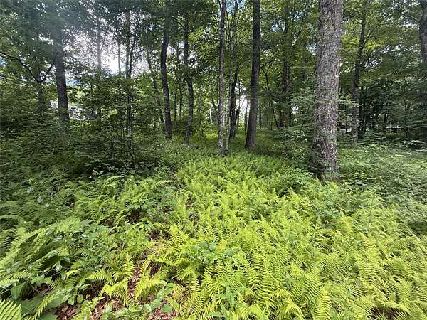 0.6 Acres of Residential Land for Sale in Highlands, North Carolina