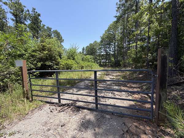 120 Acres of Recreational & Residential Land for Sale in Meridian, Mississippi