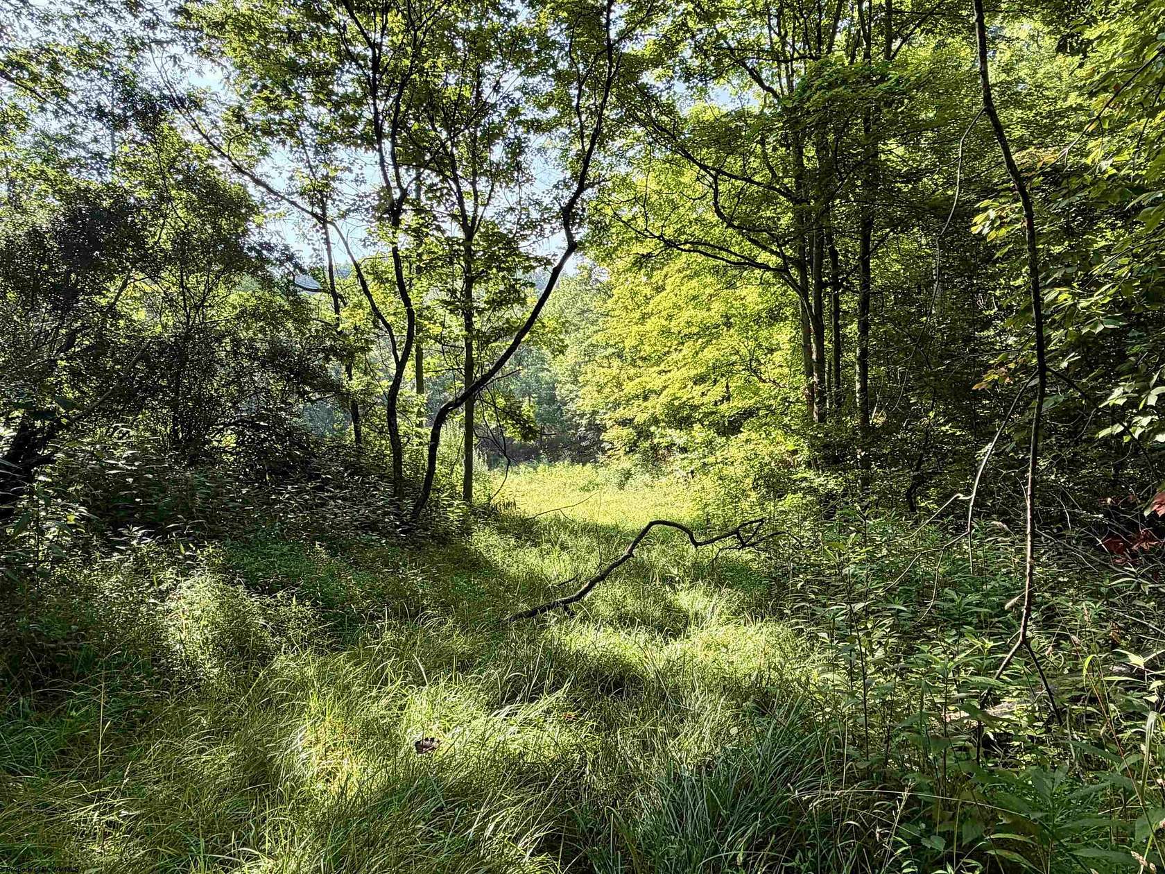 63.7 Acres of Recreational Land for Sale in Ripley, West Virginia