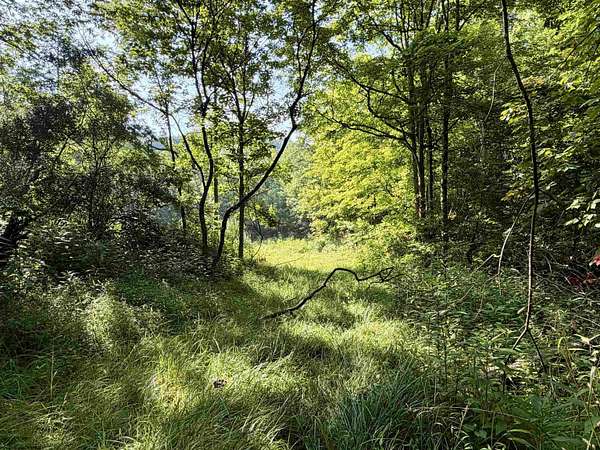 63.7 Acres of Recreational Land for Sale in Ripley, West Virginia