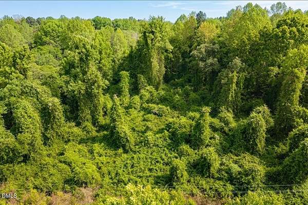 11.7 Acres of Land for Sale in Oxford Township, North Carolina