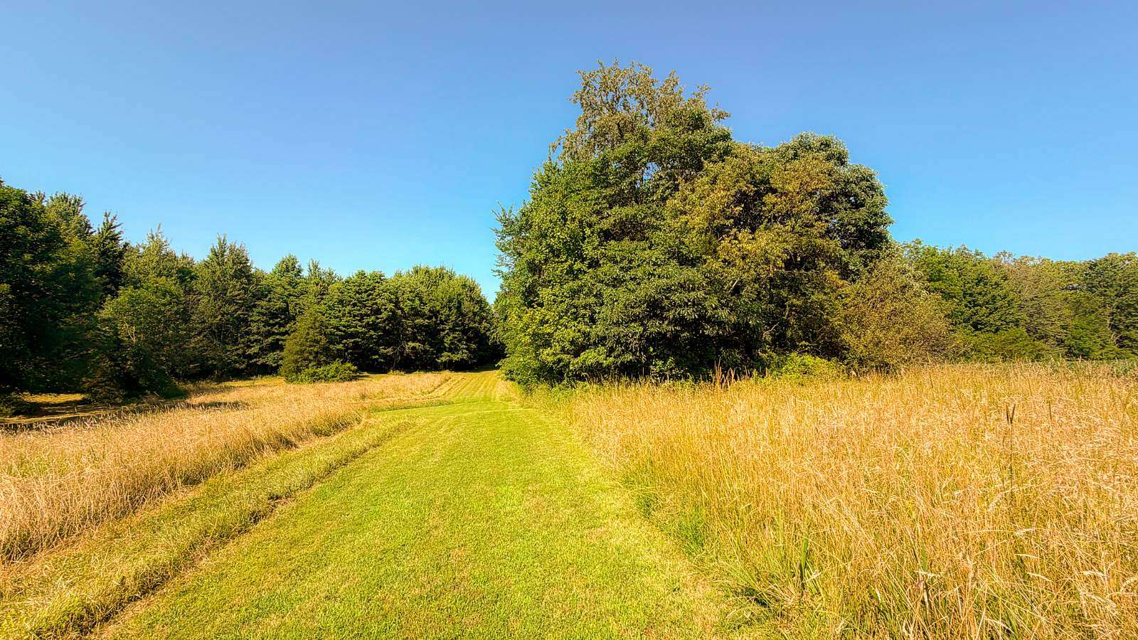 143 Acres of Land for Sale in Hamersville, Ohio