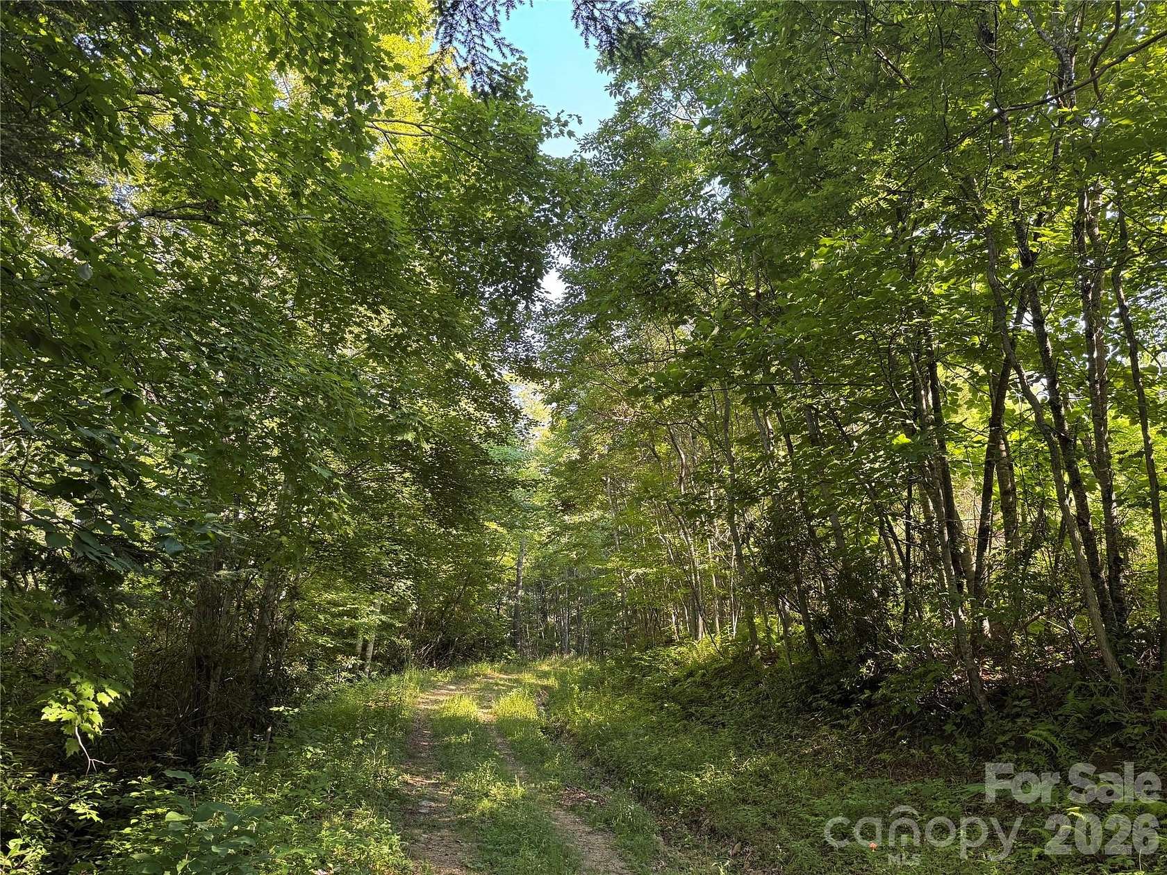 31 Acres of Land for Sale in Lansing, North Carolina