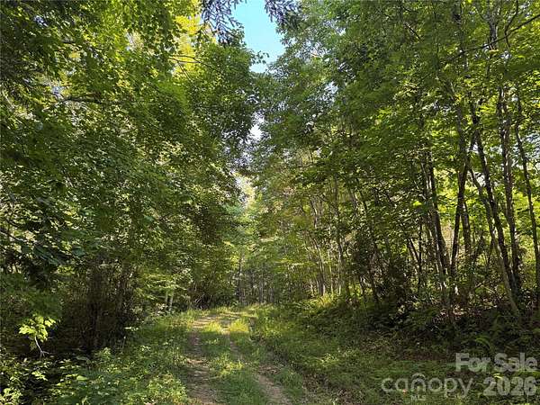 31 Acres of Land for Sale in Lansing, North Carolina