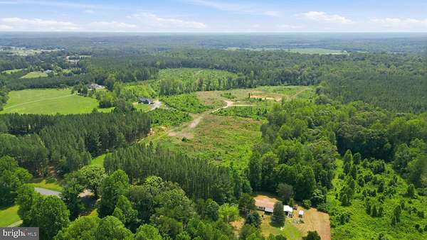 56.5 Acres of Land for Sale in Unionville, Virginia