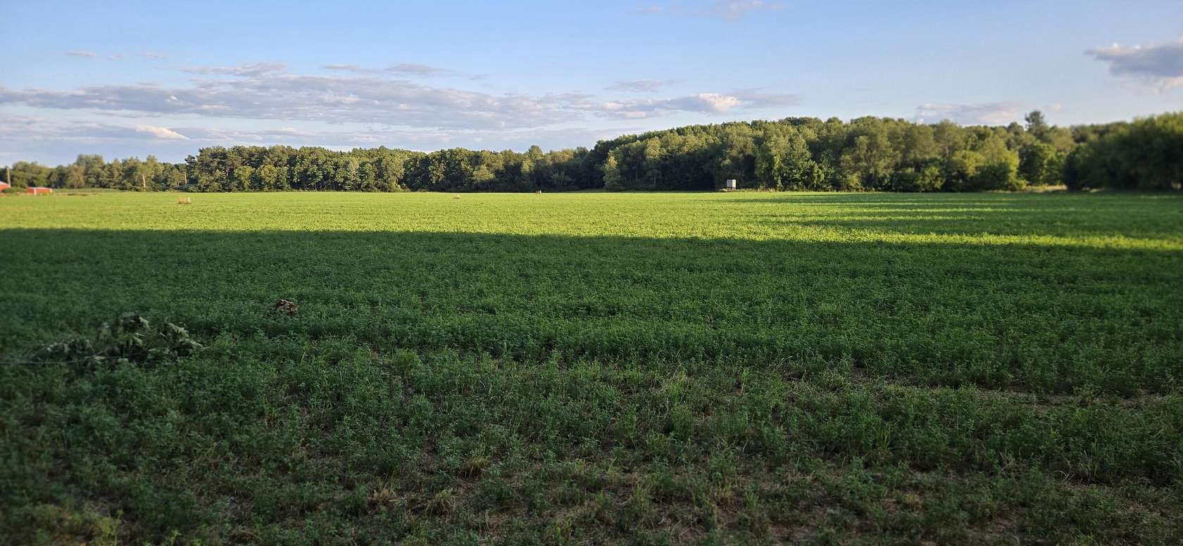 4.3 Acres of Residential Land for Sale in Sand Lake, Michigan