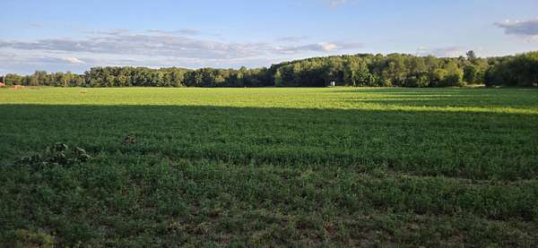 4.3 Acres of Residential Land for Sale in Sand Lake, Michigan