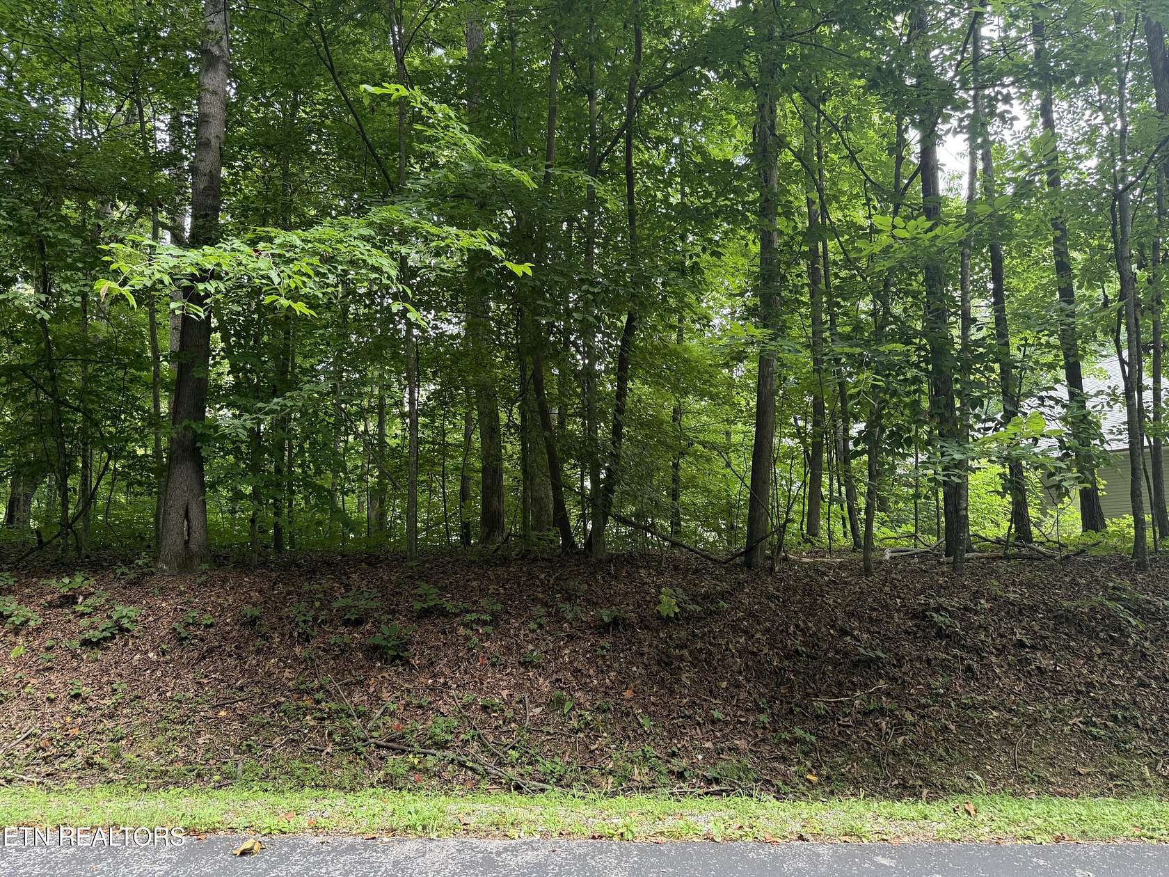0.22 Acres of Residential Land for Sale in Loudon, Tennessee