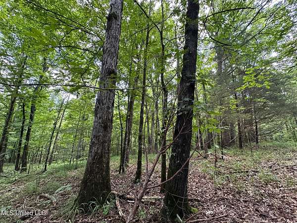 58 Acres of Recreational Land for Sale in Lexington, Mississippi