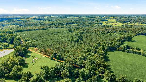 40 Acres of Land for Sale in Dawson, Alabama