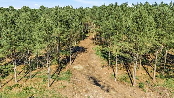 40 Acres of Land for Sale in Fyffe, Alabama